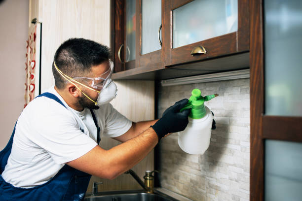 Flea Control Services in Hemphill, TX