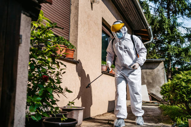 Best Flea Control Services  in Hemphill, TX