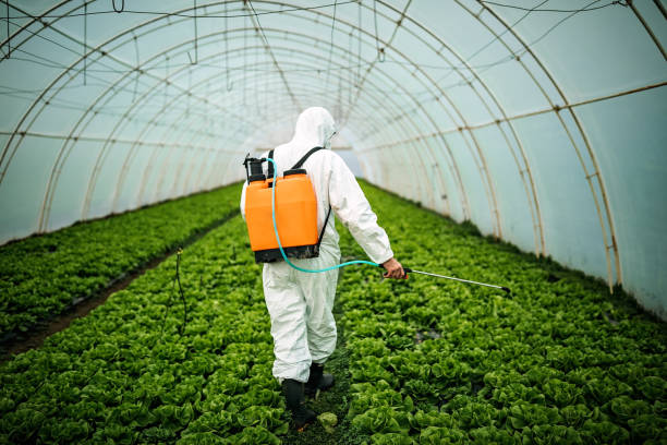 Best Affordable Pest Control Services  in Hemphill, TX