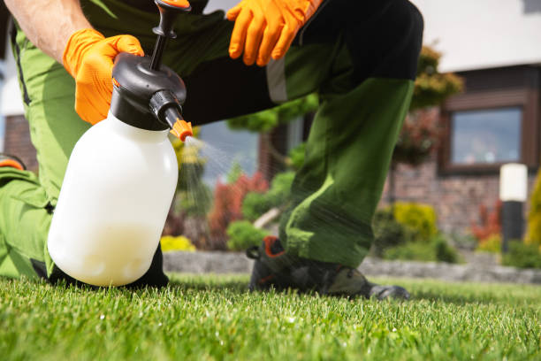 Trusted Hemphill, TX Pest Control Experts