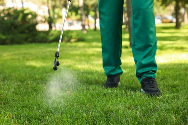 Pest Control for Restaurants in Hemphill, TX