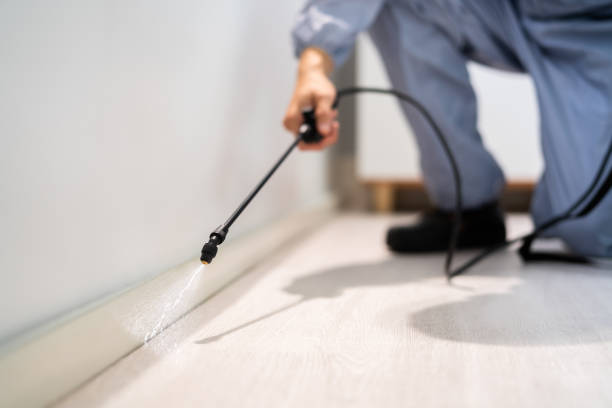 Best Commercial Pest Control Services  in Hemphill, TX
