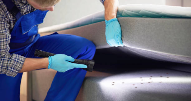 Best Affordable Pest Control Services  in Hemphill, TX