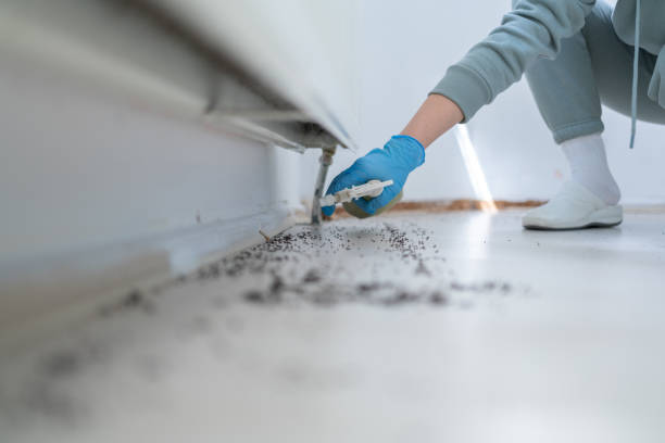 Best Wildlife Control Services  in Hemphill, TX