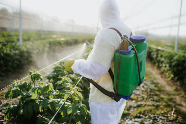 Best Pest Control for Businesses  in Hemphill, TX